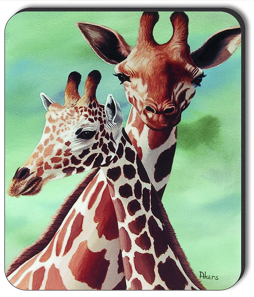 Giraffes II - #45