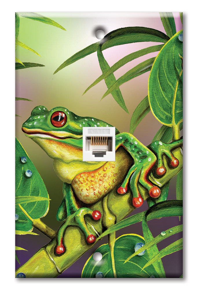 Red Eyed Frog - #457