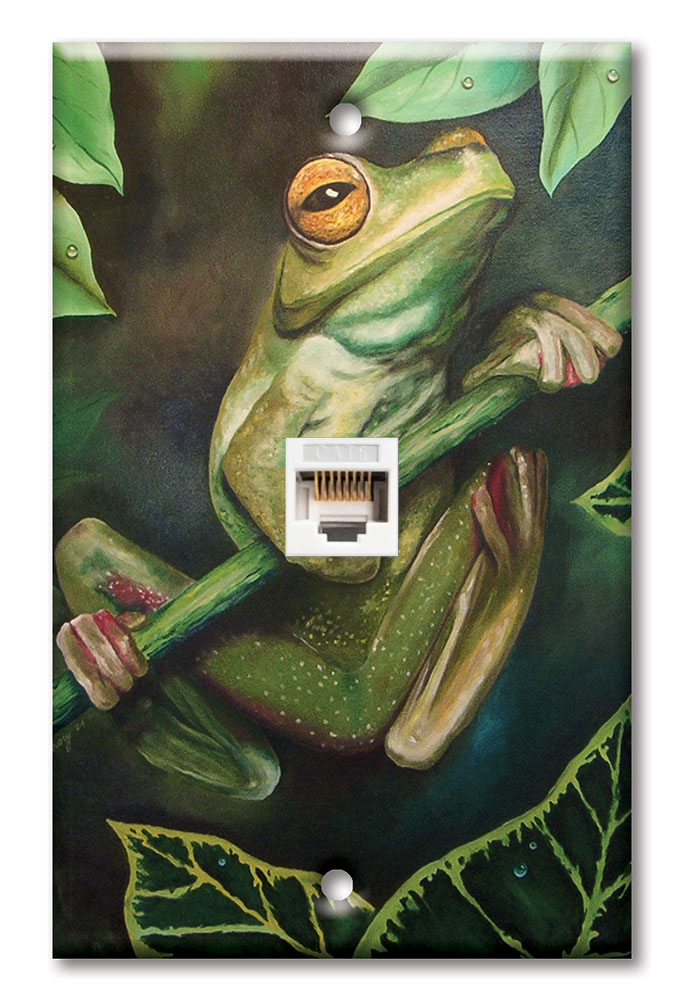 Yellow Eyed Tree Frog - #462