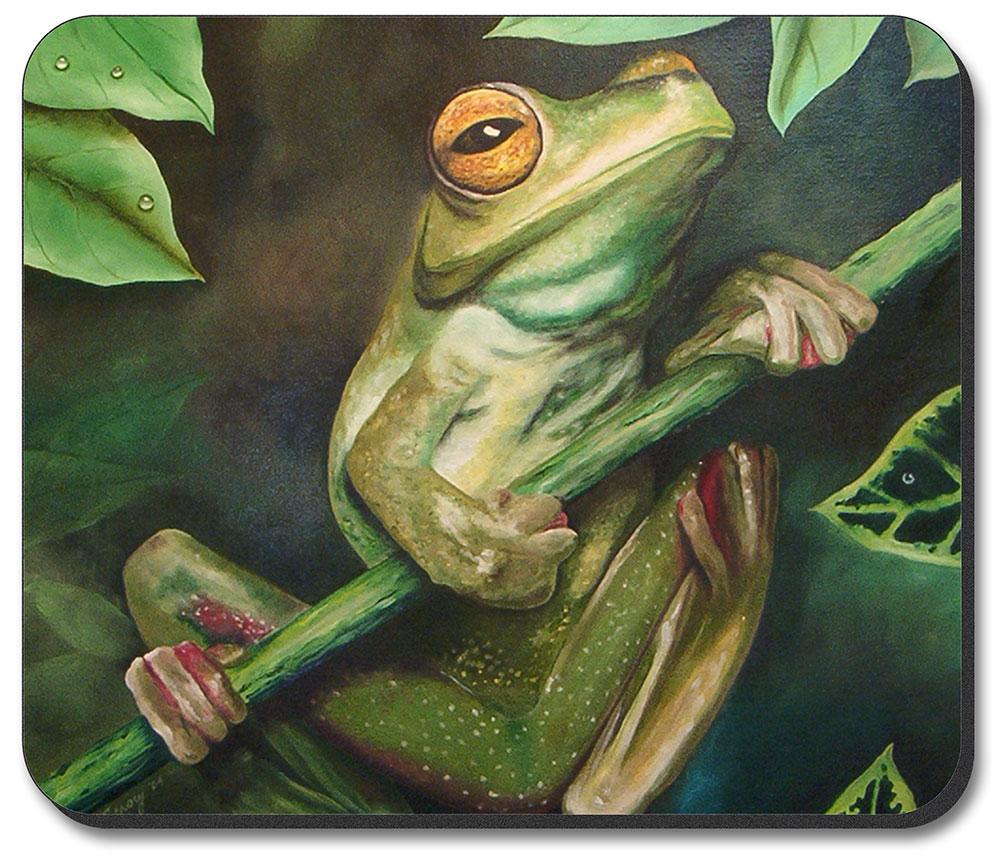 Yellow Eyed Tree Frog - #462