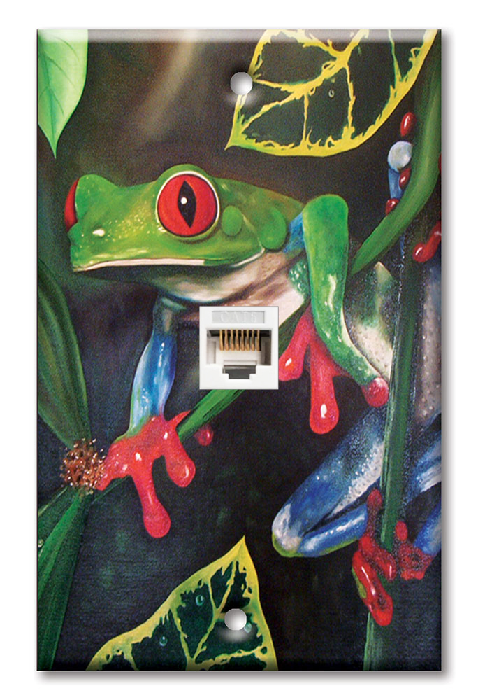 Red Eyed Tree Frog - #463