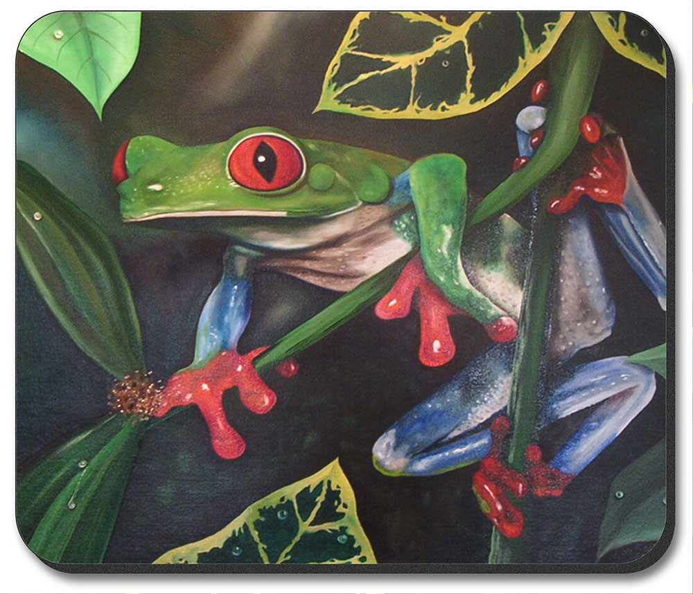 Red Eyed Tree Frog - #463