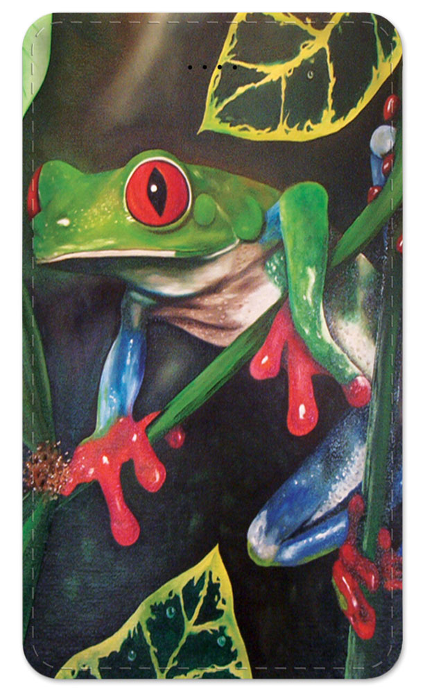 Red Eyed Tree Frog - #463