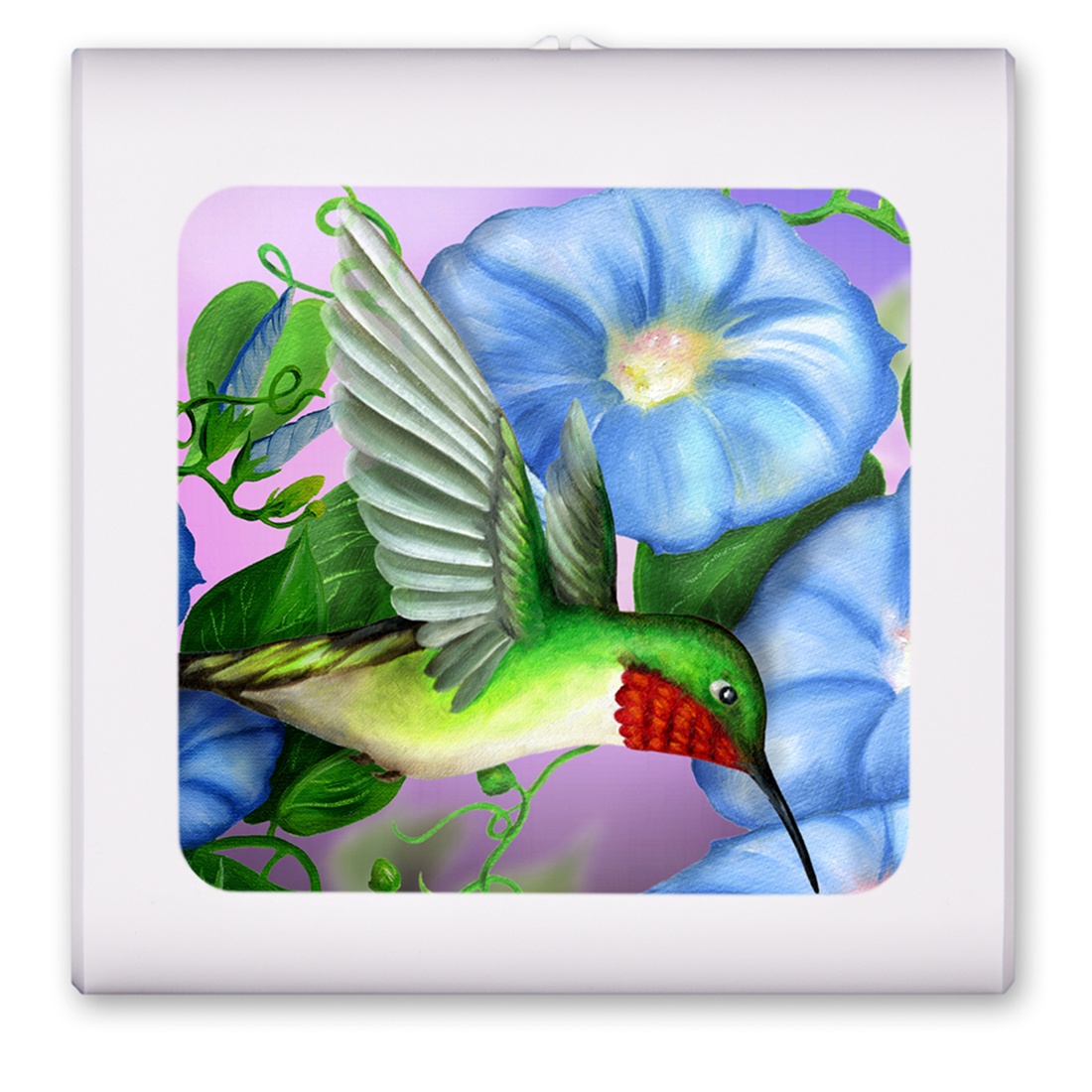 Hummingbird and Flowers - #464