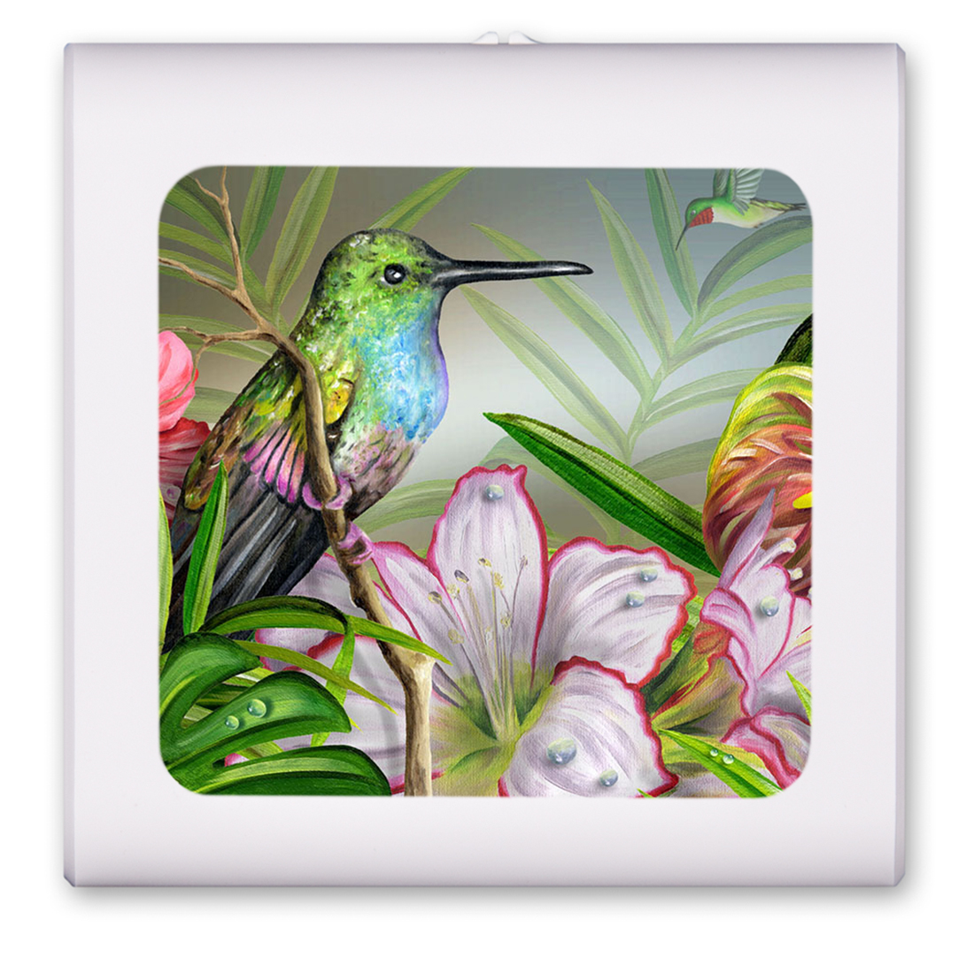 Hummingbird at Rest - #466