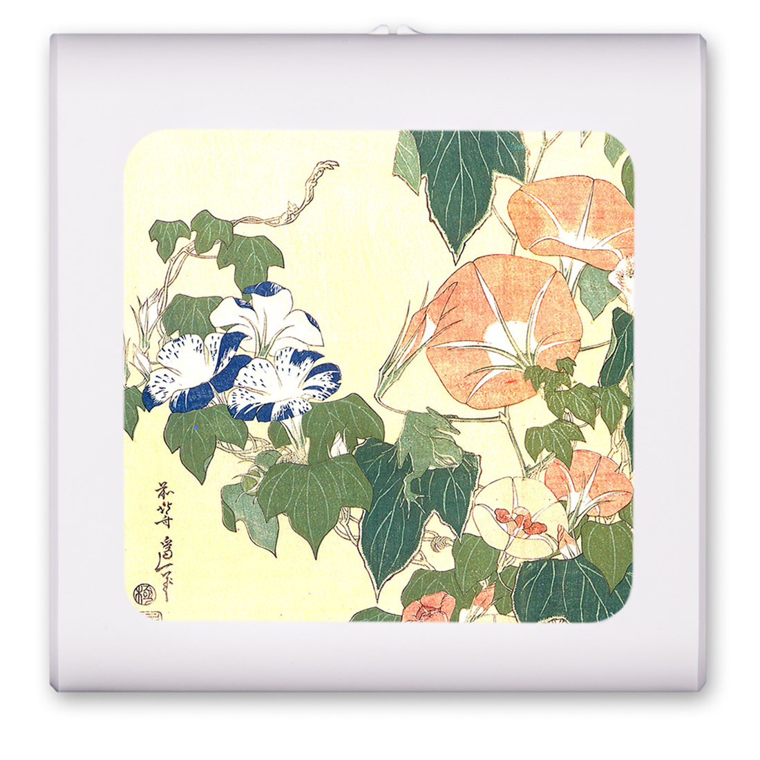 Hokusai: Convolvulus - #547