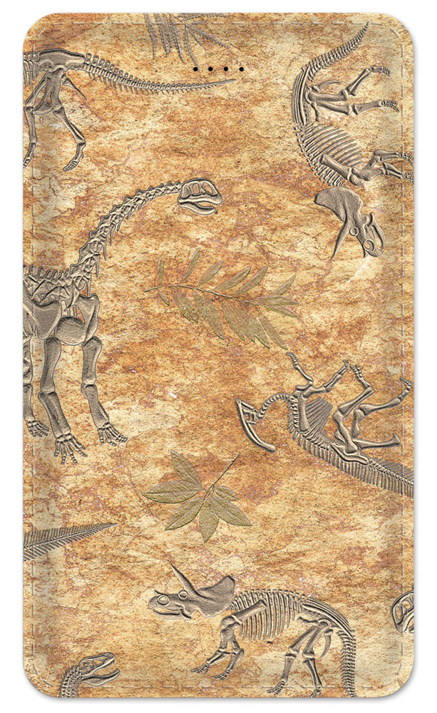 Dinosaur Fossils - #641