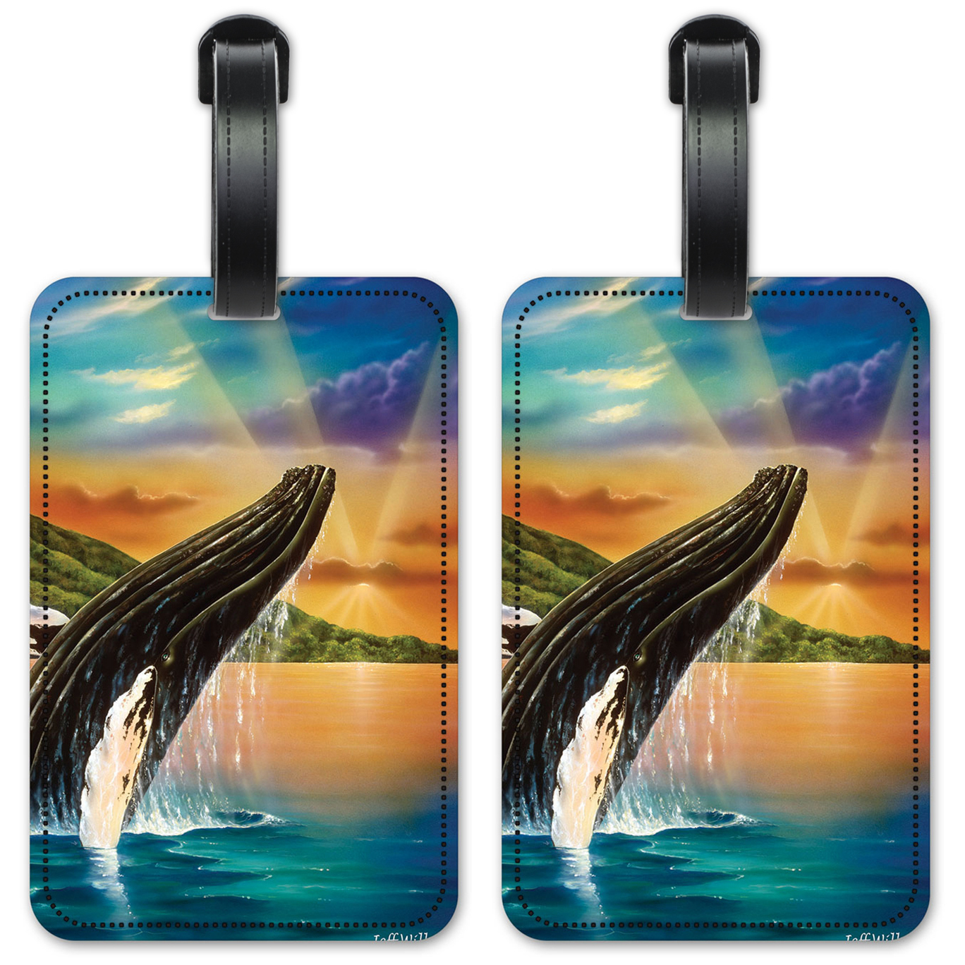 Humpback Whales - #660