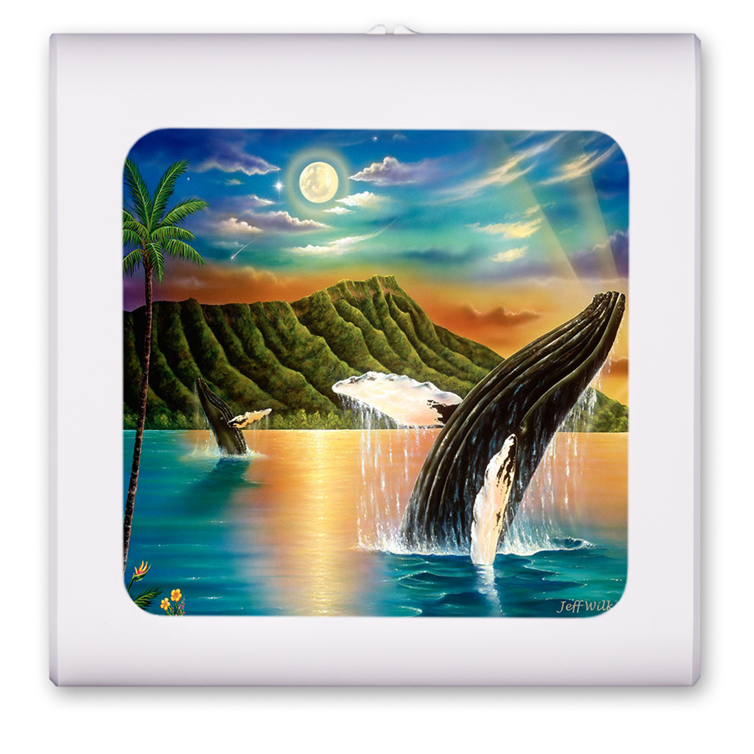 Humpback Whales - #660