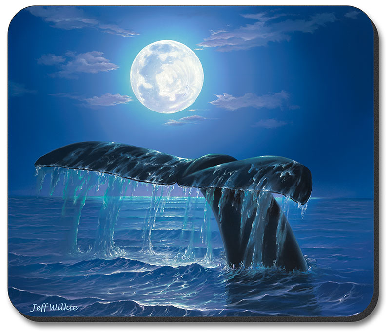 Whale Tail at Night - #664