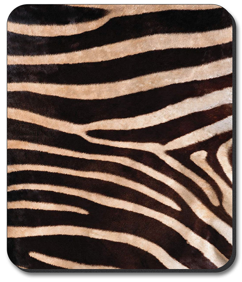 Faux Zebra Fur - #672