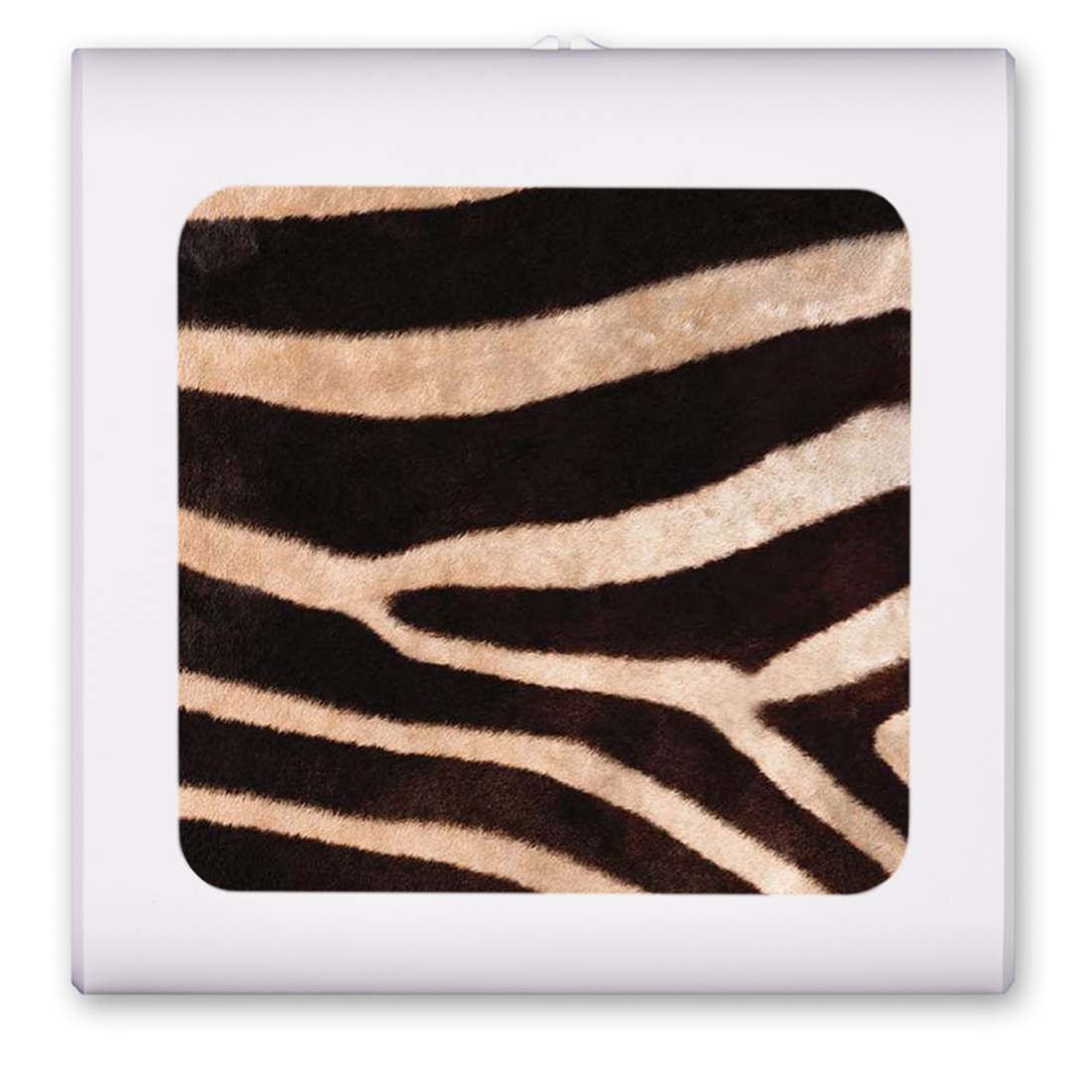 Faux Zebra Fur - #672