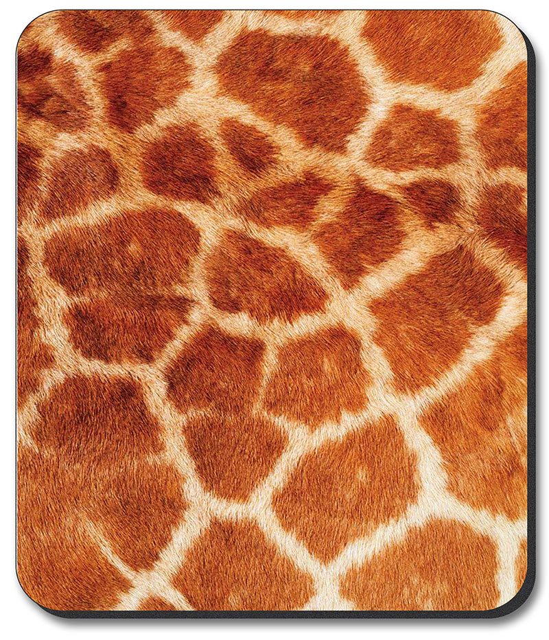 Faux Giraffe Fur - #673