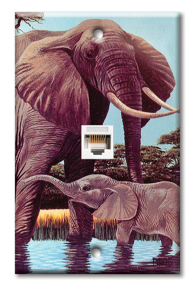 Elephants - #68