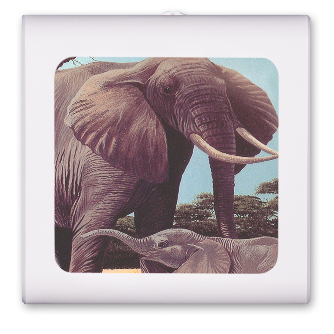 Elephants - #68