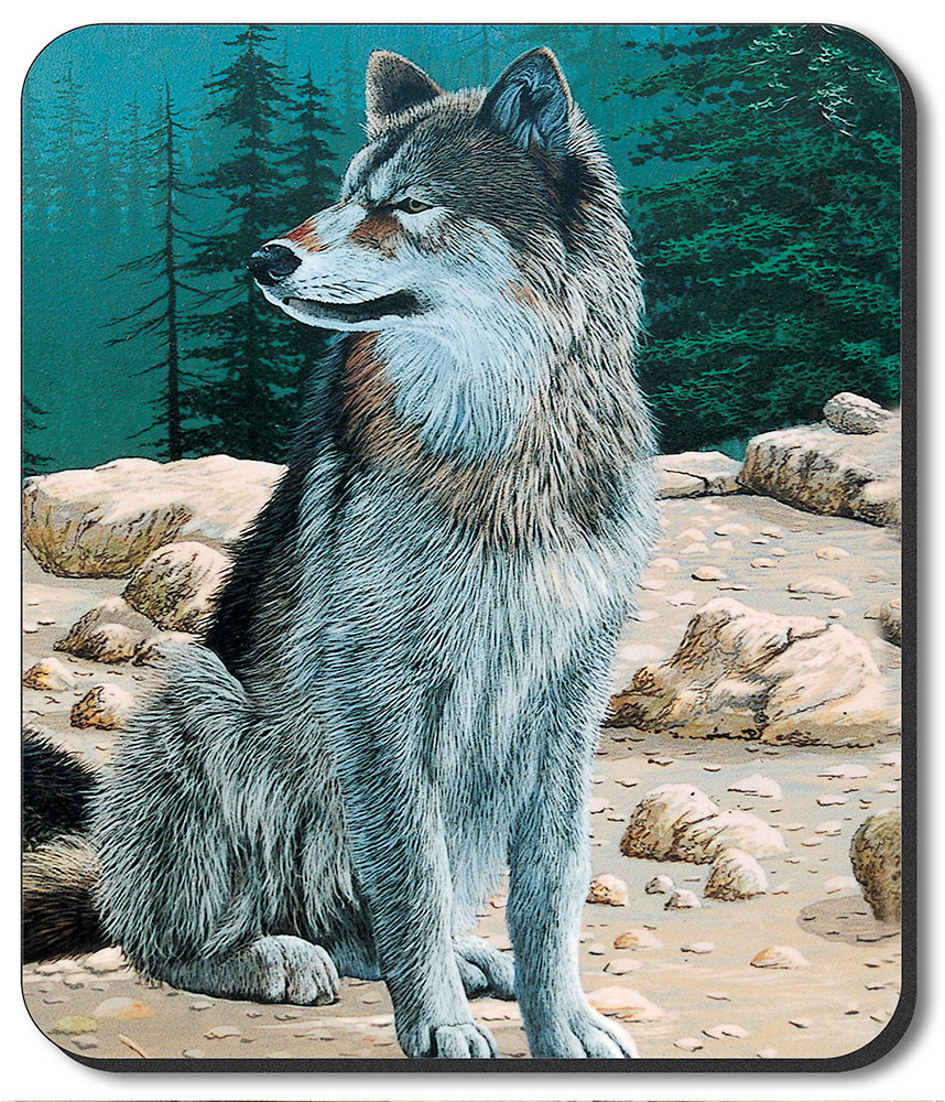 Wolf - #69