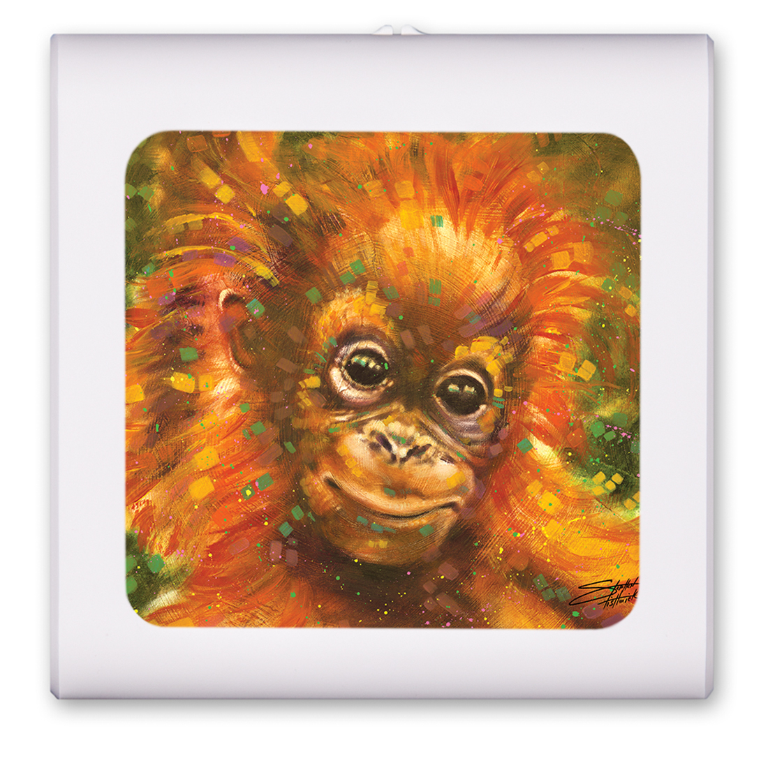 Orangutan - #706