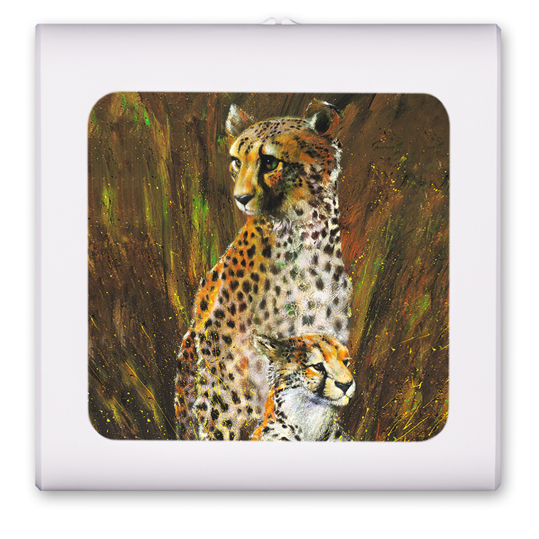 Cheetahs - #709