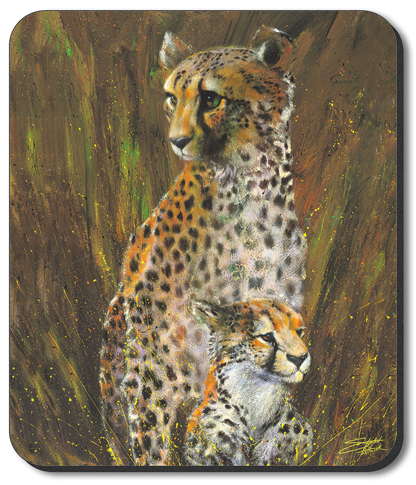 Cheetahs - #709