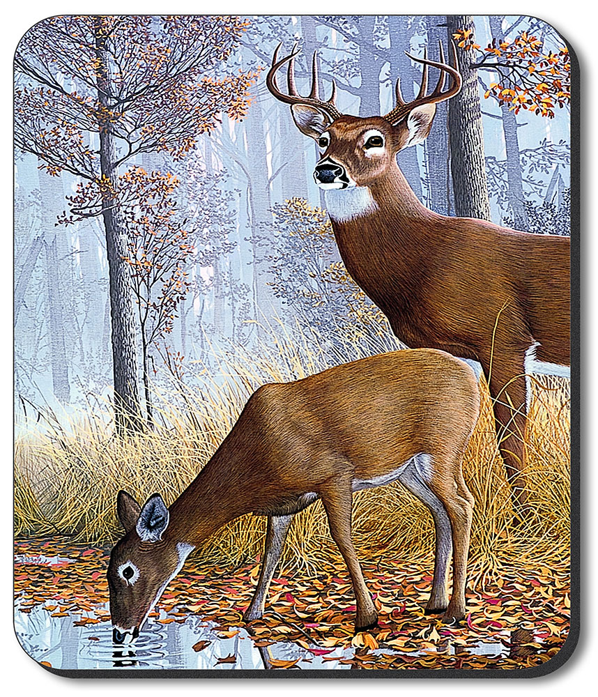 Deer - #72