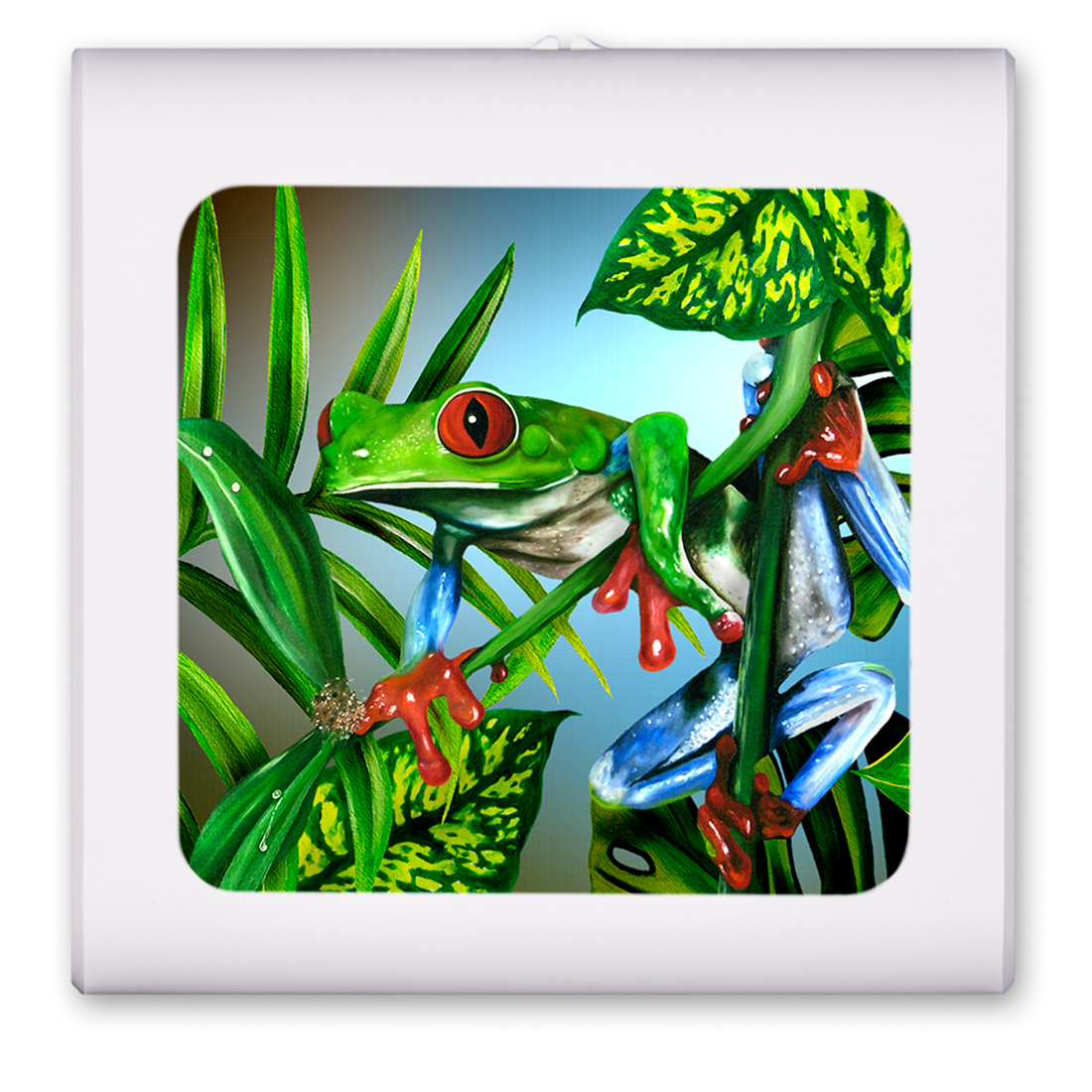 Red Toe Tree Frog - #736