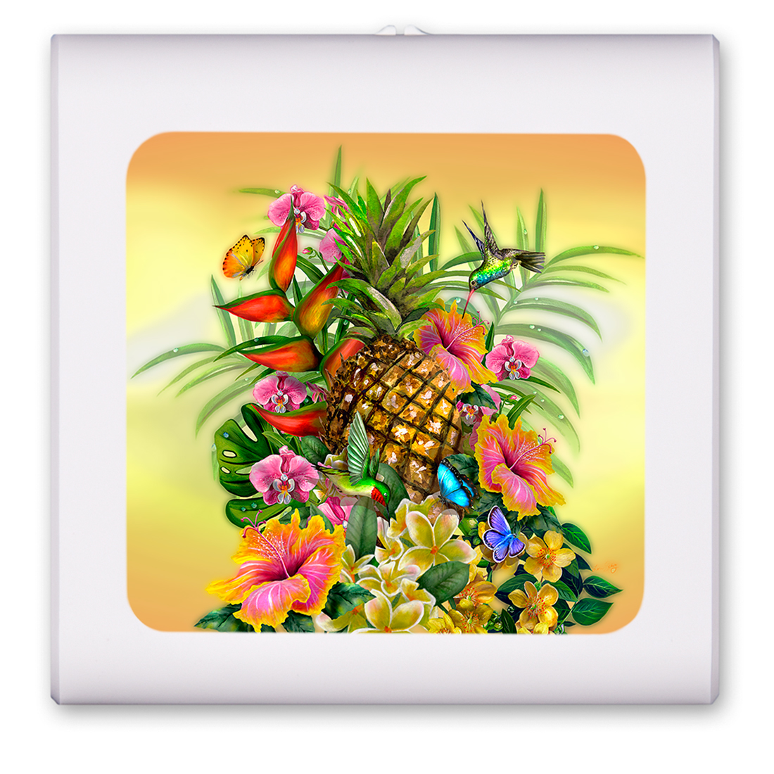 Pineapple - #741