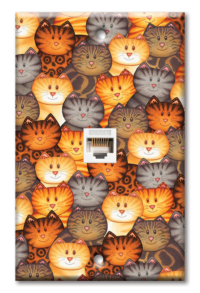 Cat Faces - Image by Dan Morris - #7605