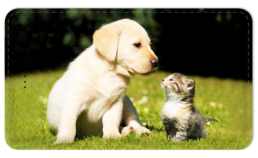 Puppy and Kitty - #7609
