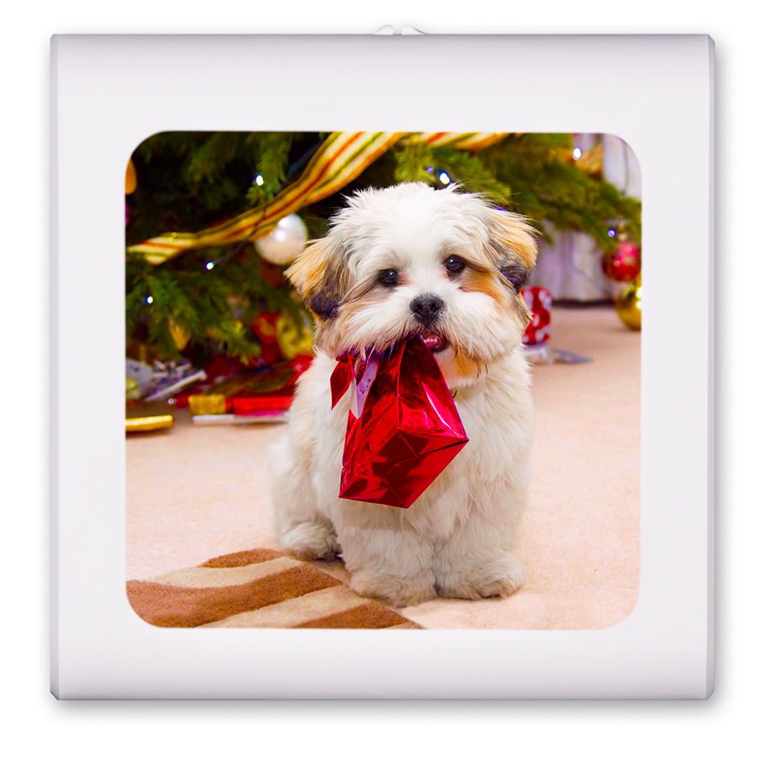 Christmas Puppy - #7610