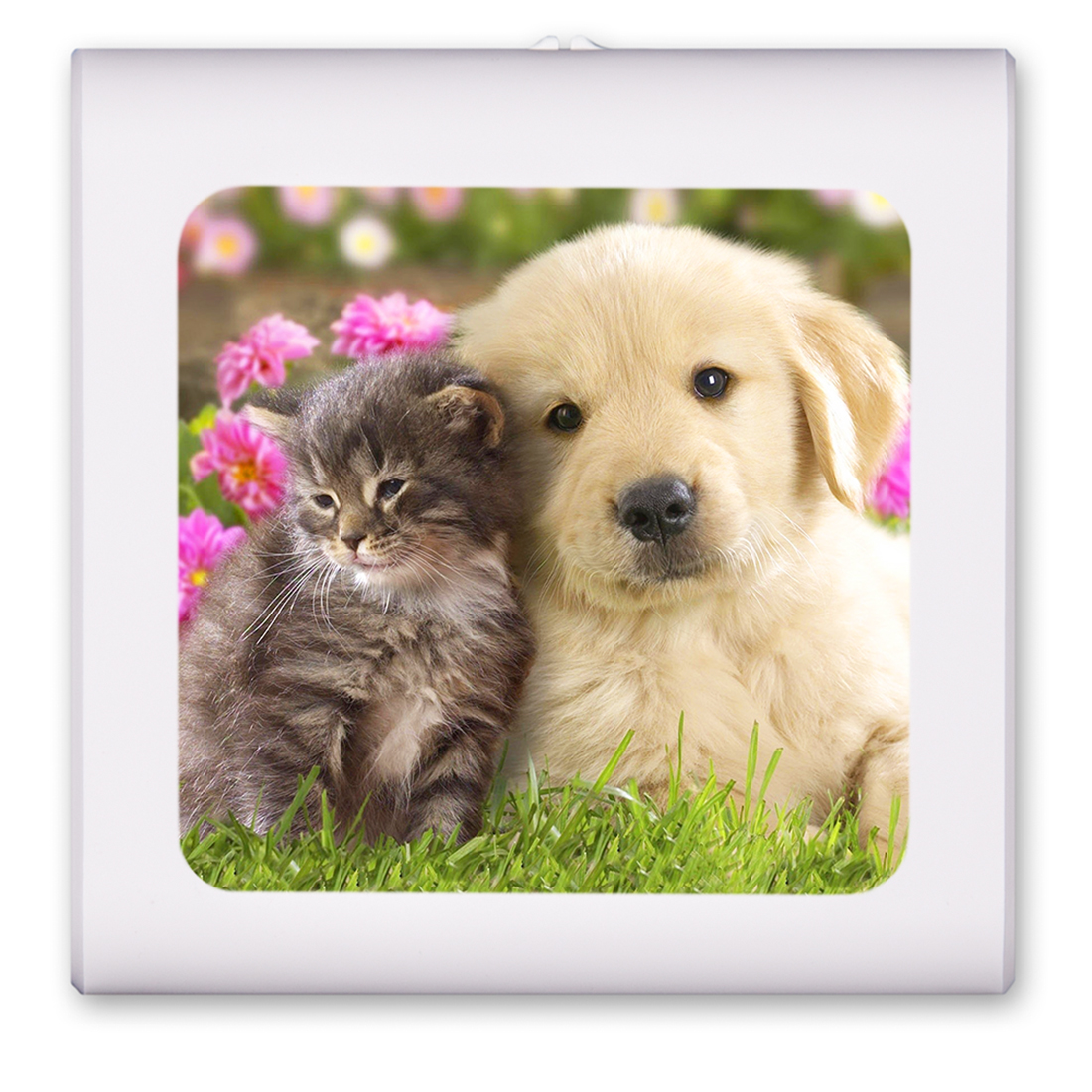 Best Friends - #7612