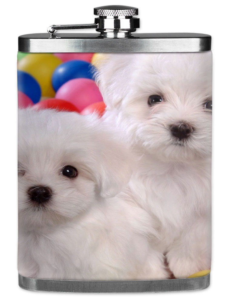 Maltese Puppies - #7618