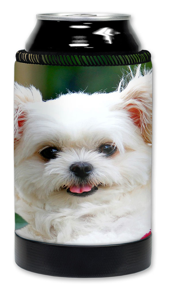 Maltese Puppy - #7619