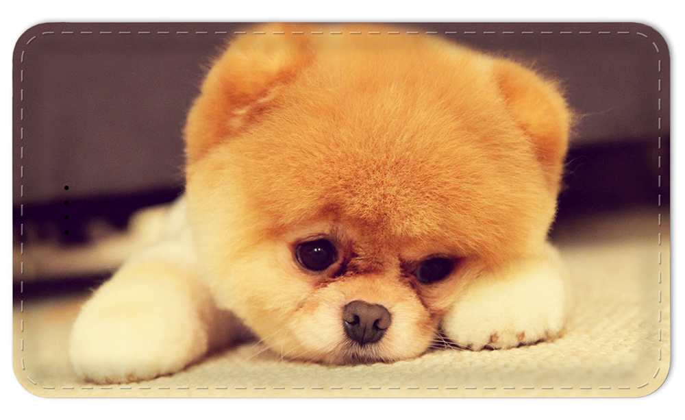 Pouting Puppy - #7621