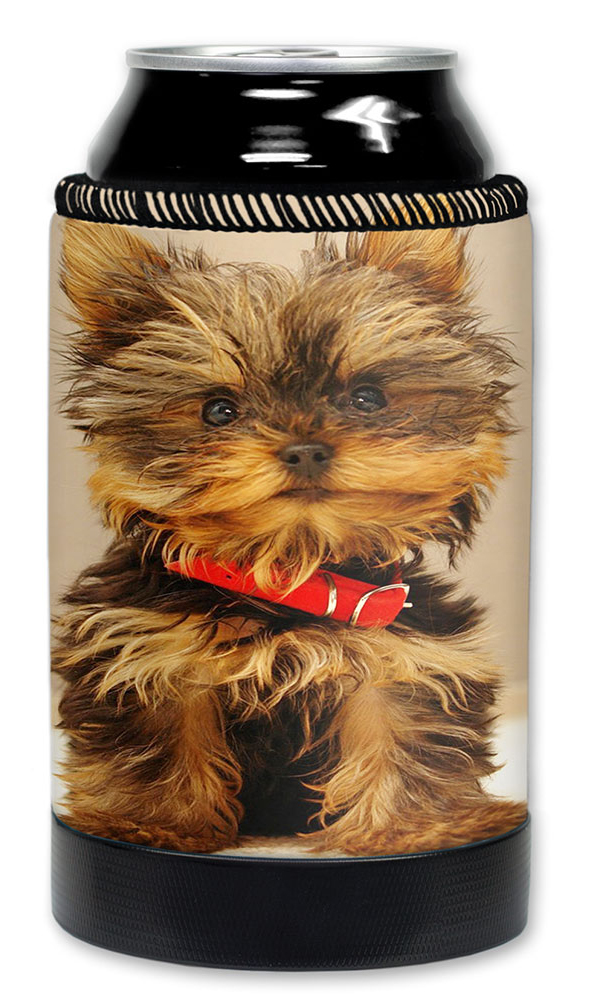 Yorkie Puppy - #7623