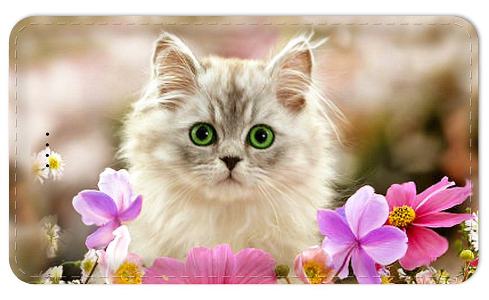 Kitten in the Flowers - #7625