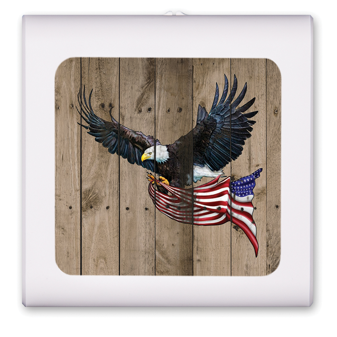 Eagle with Flag - #8111