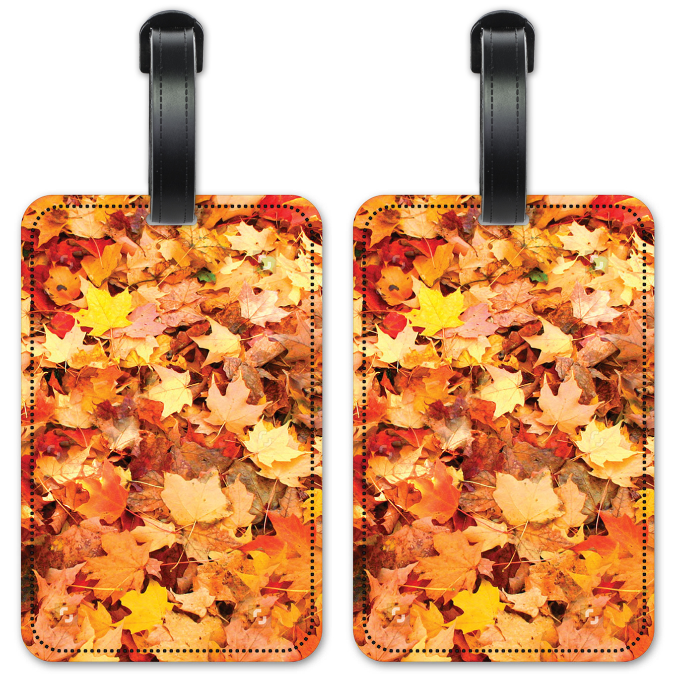 Fall Leaves - #8132