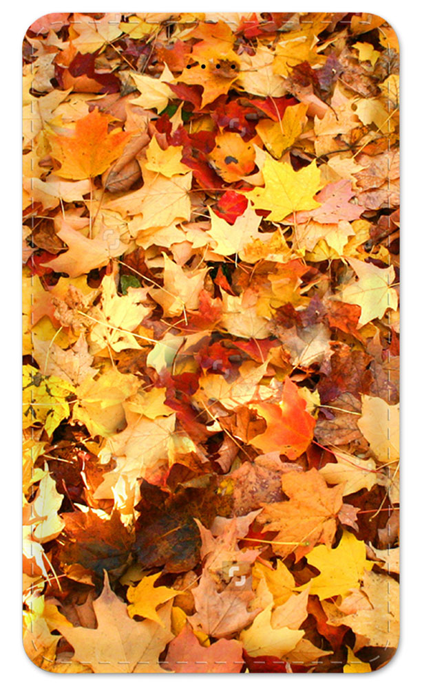 Fall Leaves 2 - #8132