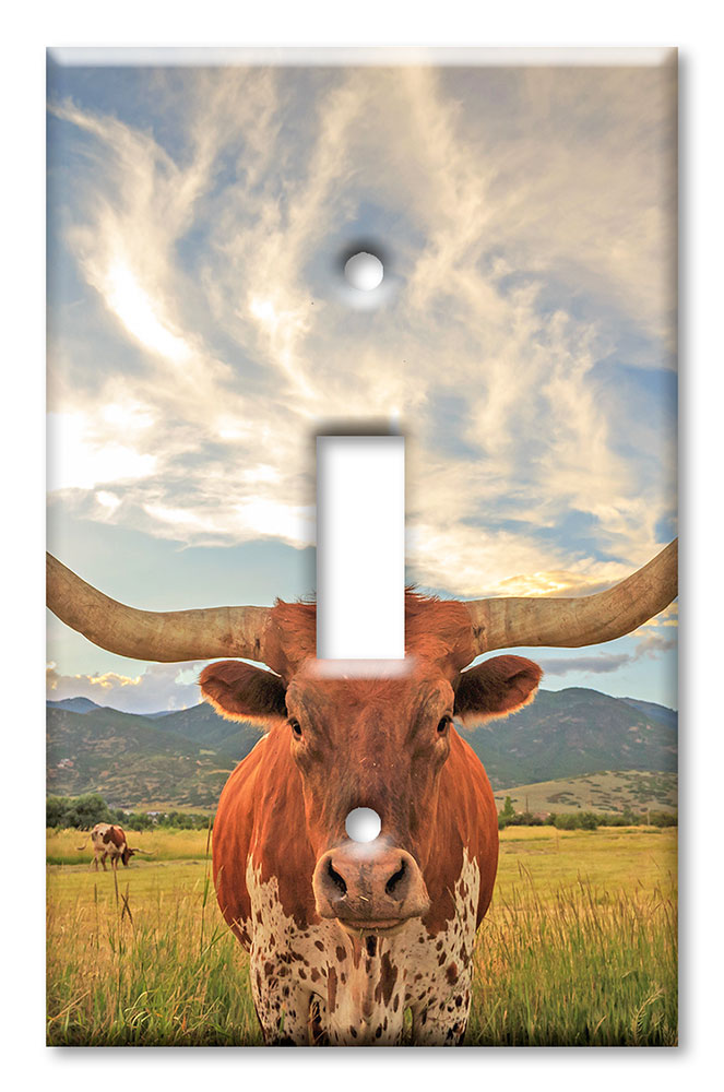 Art Plates - Decorative OVERSIZED Switch Plates & Outlet Covers - Longhorn