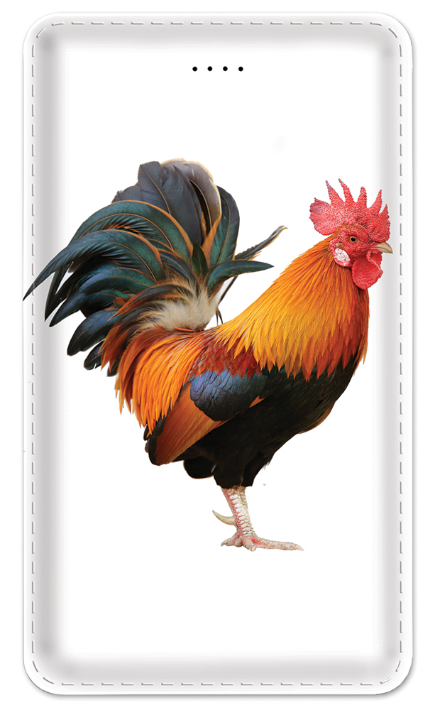 Rooster - #8503