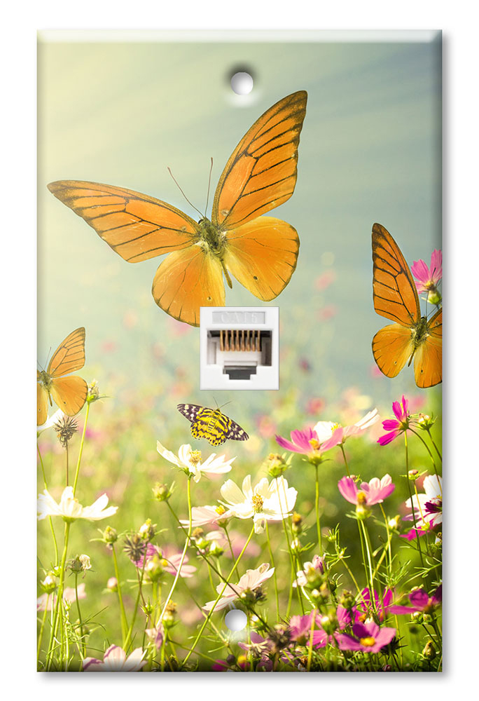 Butterflies - #8517