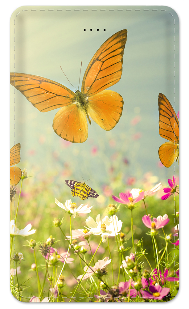 Butterflies - #8517