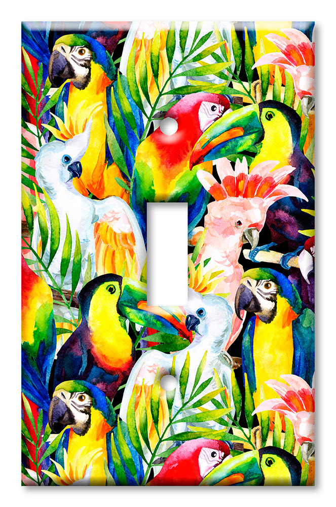 Art Plates - Decorative OVERSIZED Wall Plates & Outlet Covers - Colorful Birds
