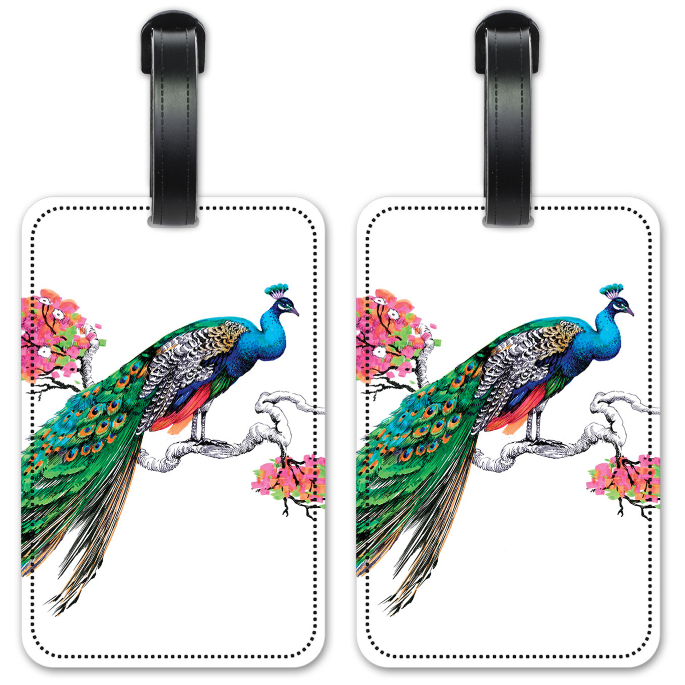 Colorful Peacock - #8520