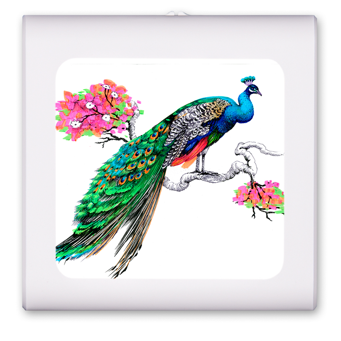 Colorful Peacock - #8520