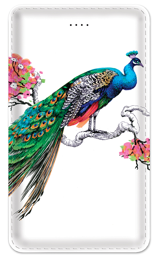 Colorful Peacock - #8520