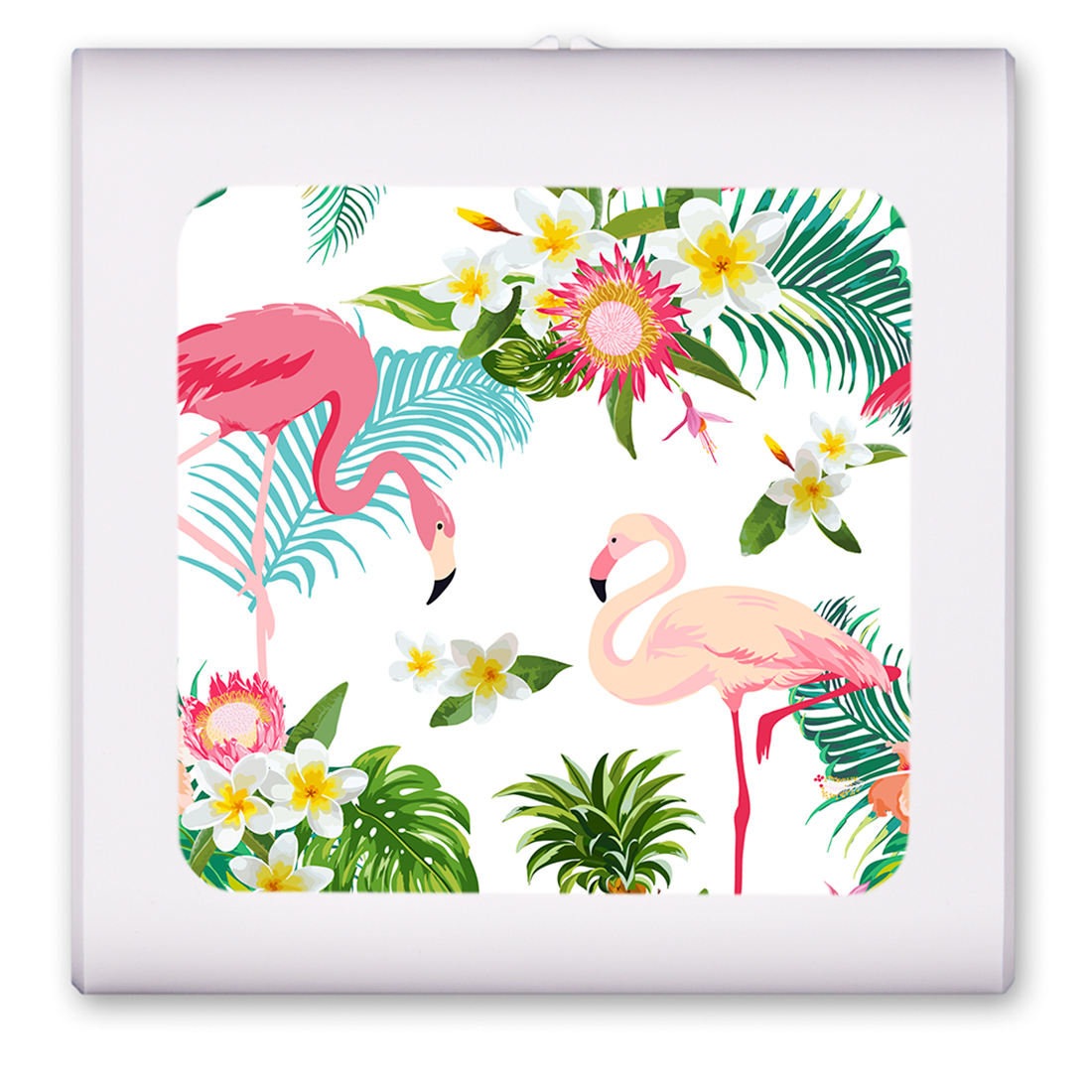 Flamingos - #8521