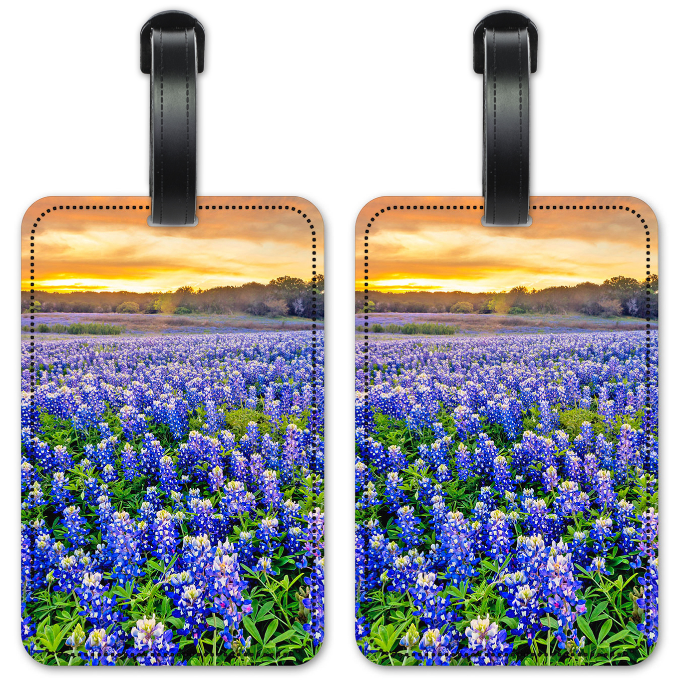 Blue Bonnets - #8537