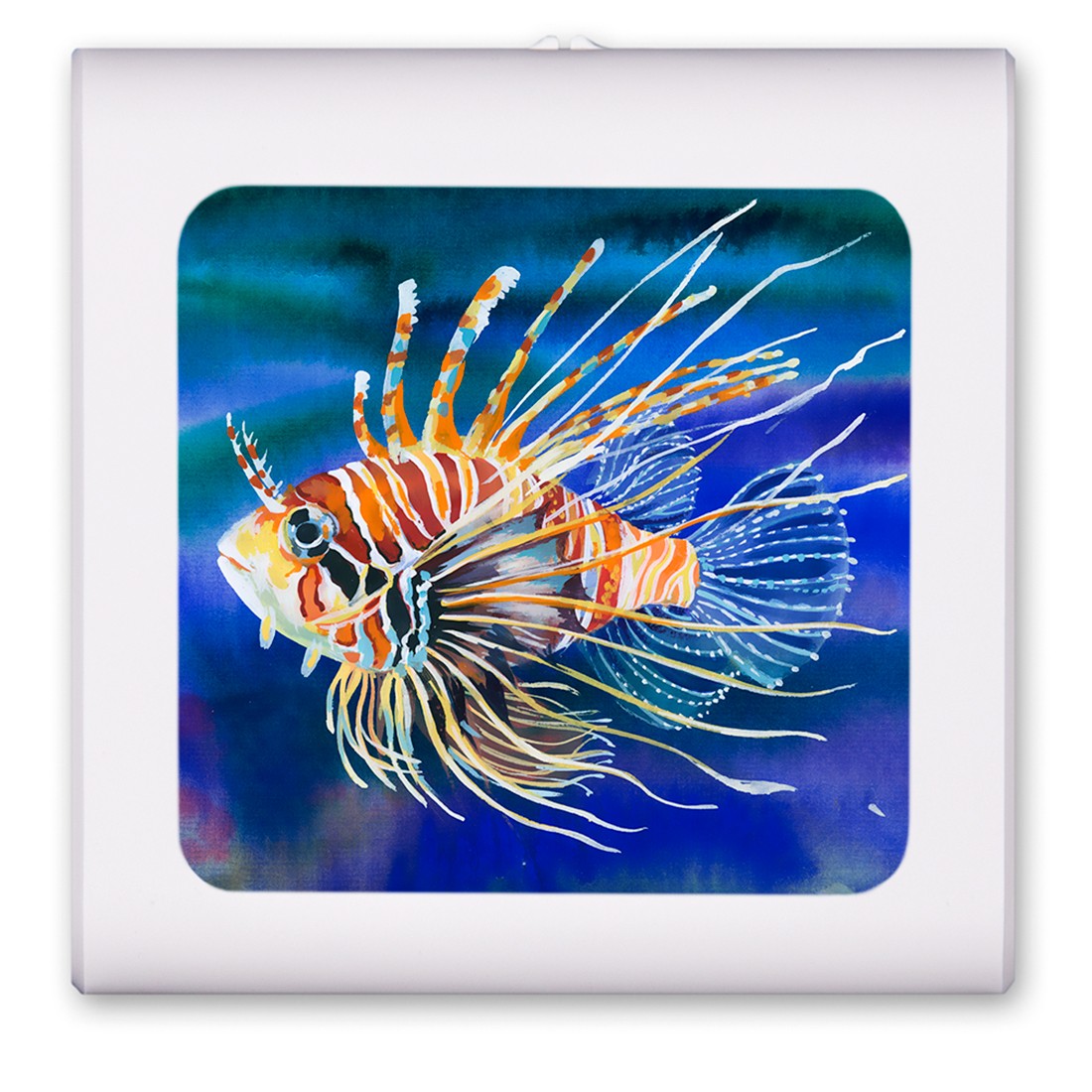 Clown Fish - #8592