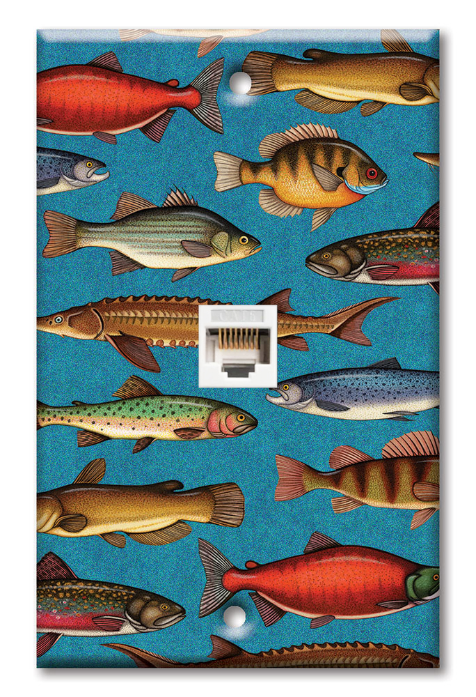 Freshwater Fish - Image by Dan Morris - #86